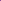 Purple Chanderi With Floral Print
