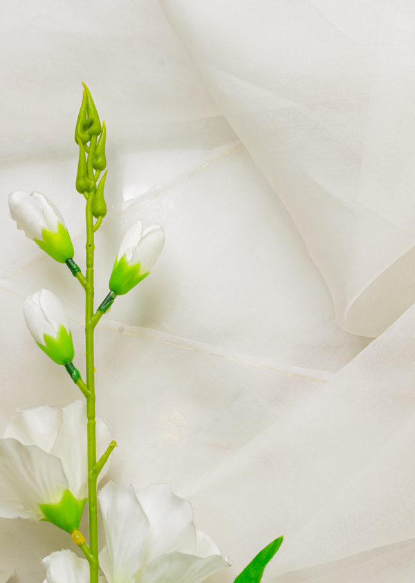 White Dyeable Chinese Organza