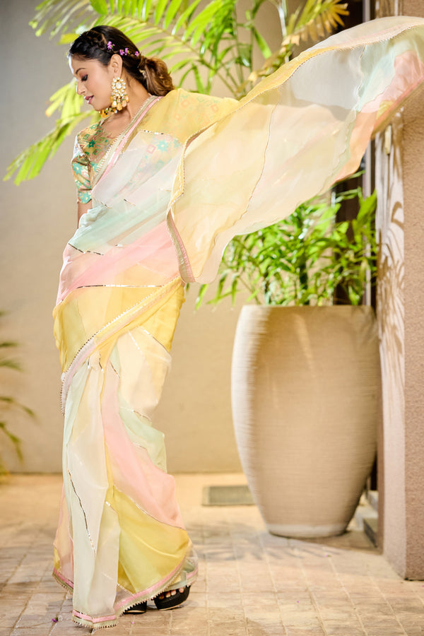 Unicorn Color Organza Saree