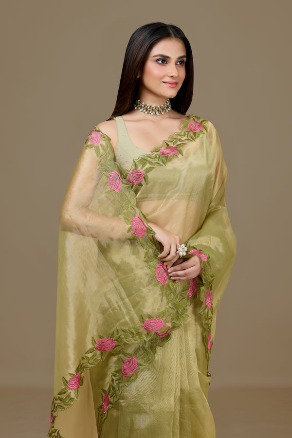 Green Tissue Saree with Intricate Appliqué Work