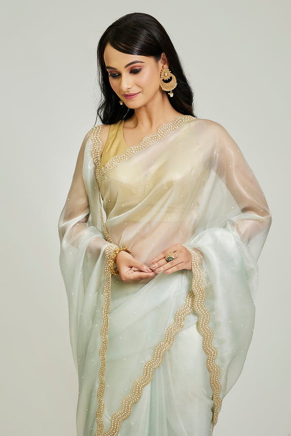 Blue Organza Tissue Saree