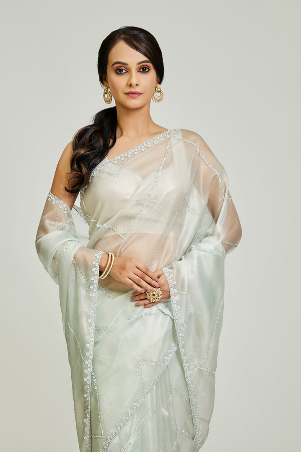 Sky Raina Silk Saree