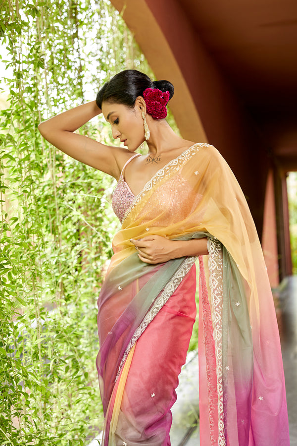 4D Shaded Organza Saree