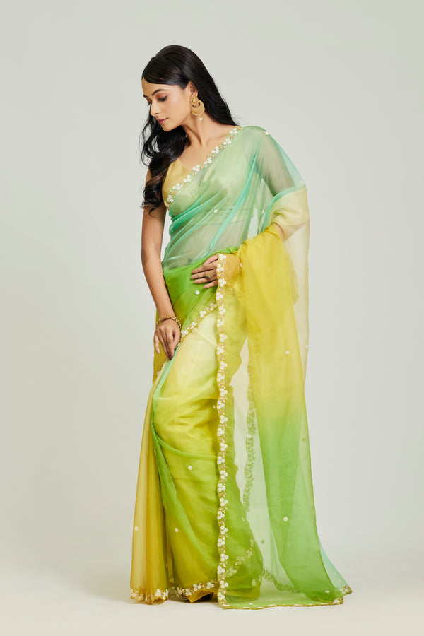 4D Shaded Organza Saree