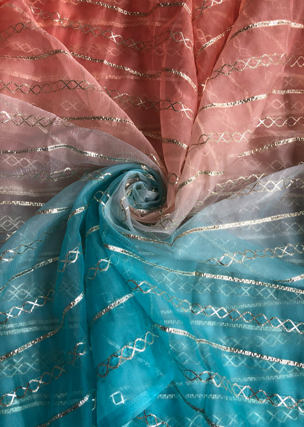 Shaded  Embroidered Organza