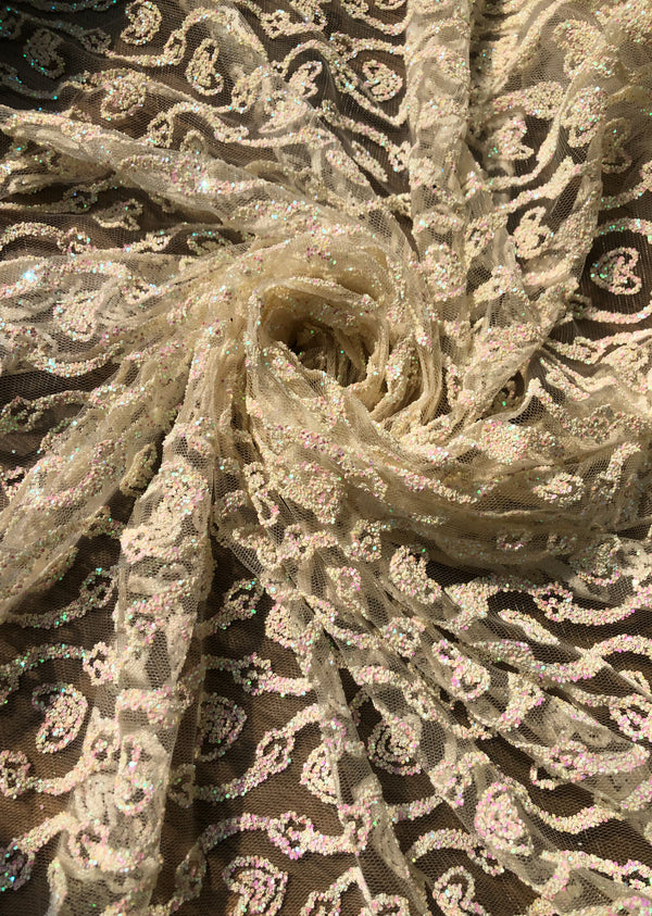White Embroidered Net