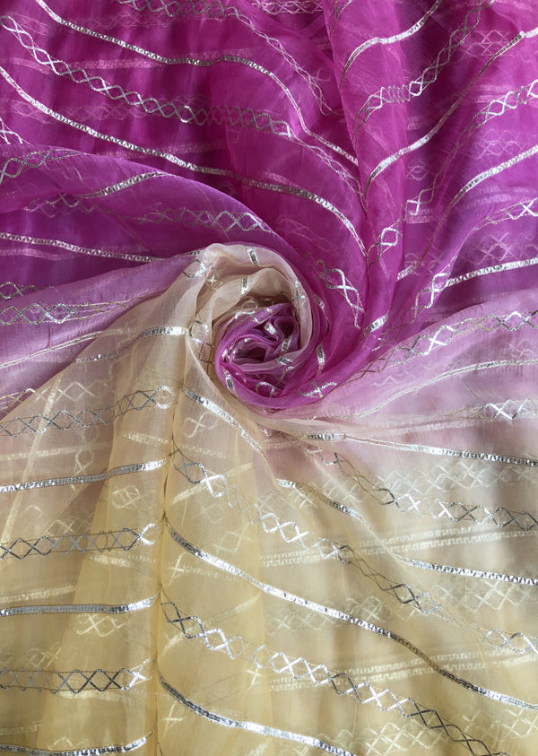 Shaded Embroidered Organza